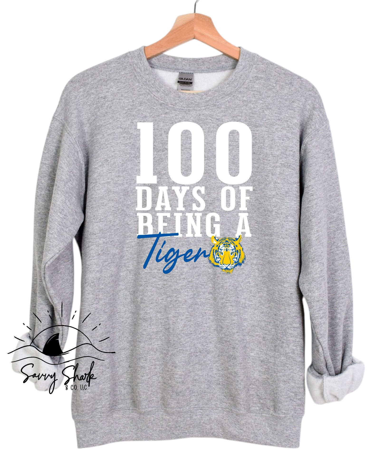 100 Days of being a Tiger