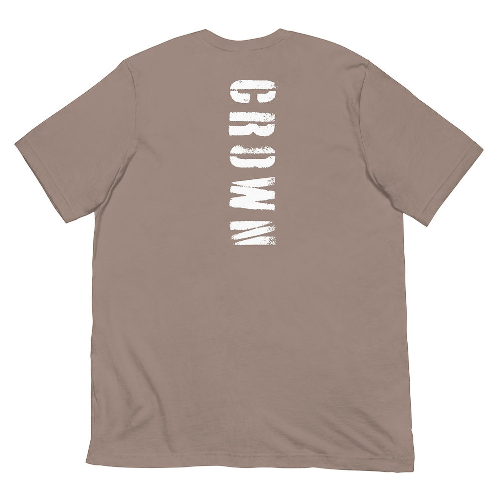 Thumbnail: “Fly Grind” Unisex t-shirt