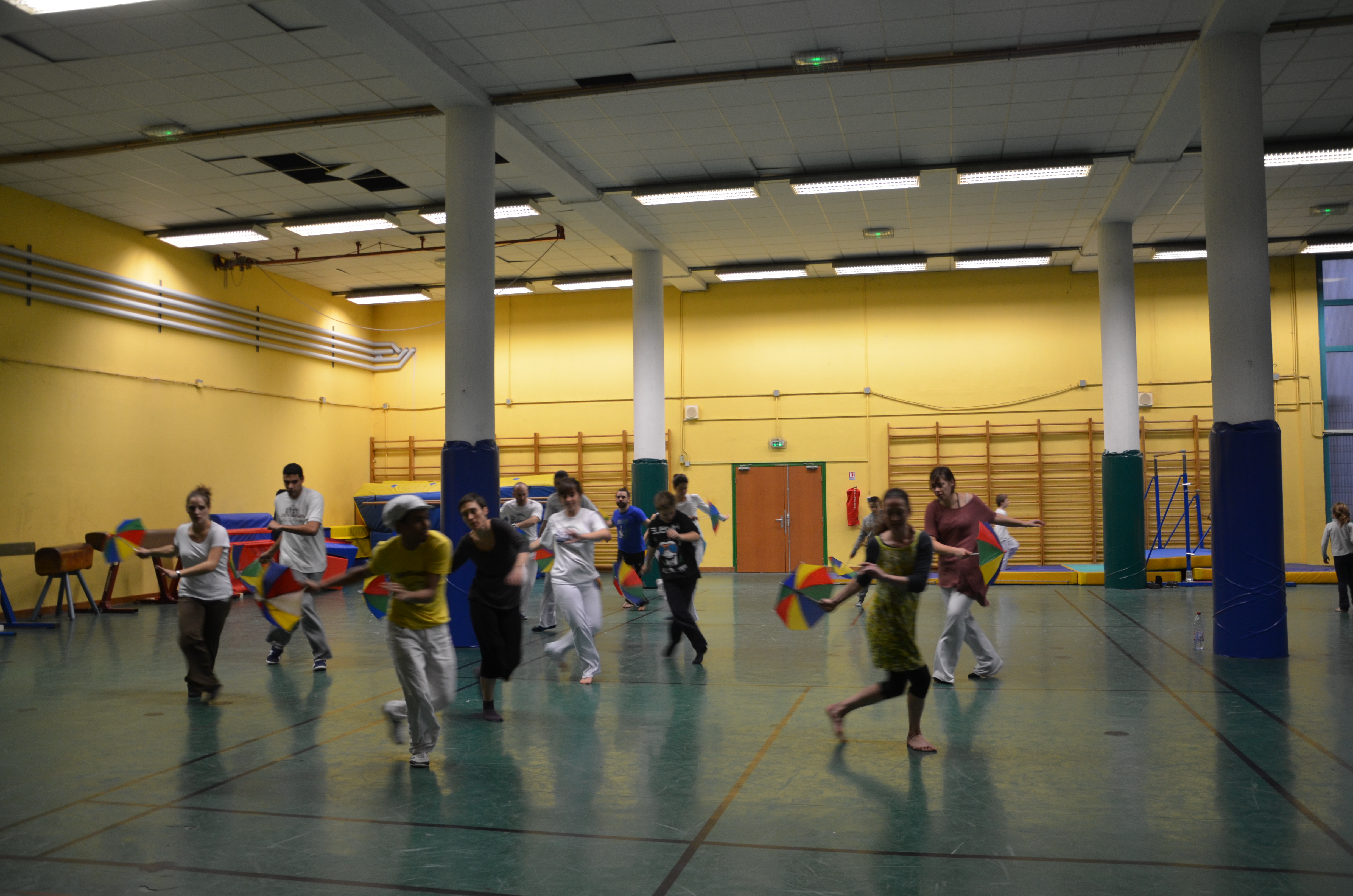 Stage Janvier 2013 - Nice