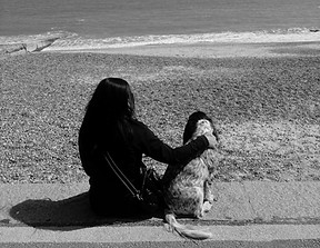 What precautionsdo yputake tokeep yourdo