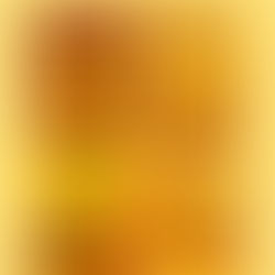 Quibble’s Yuletide Yarns