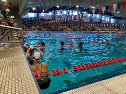 New Mexico Games Swimming