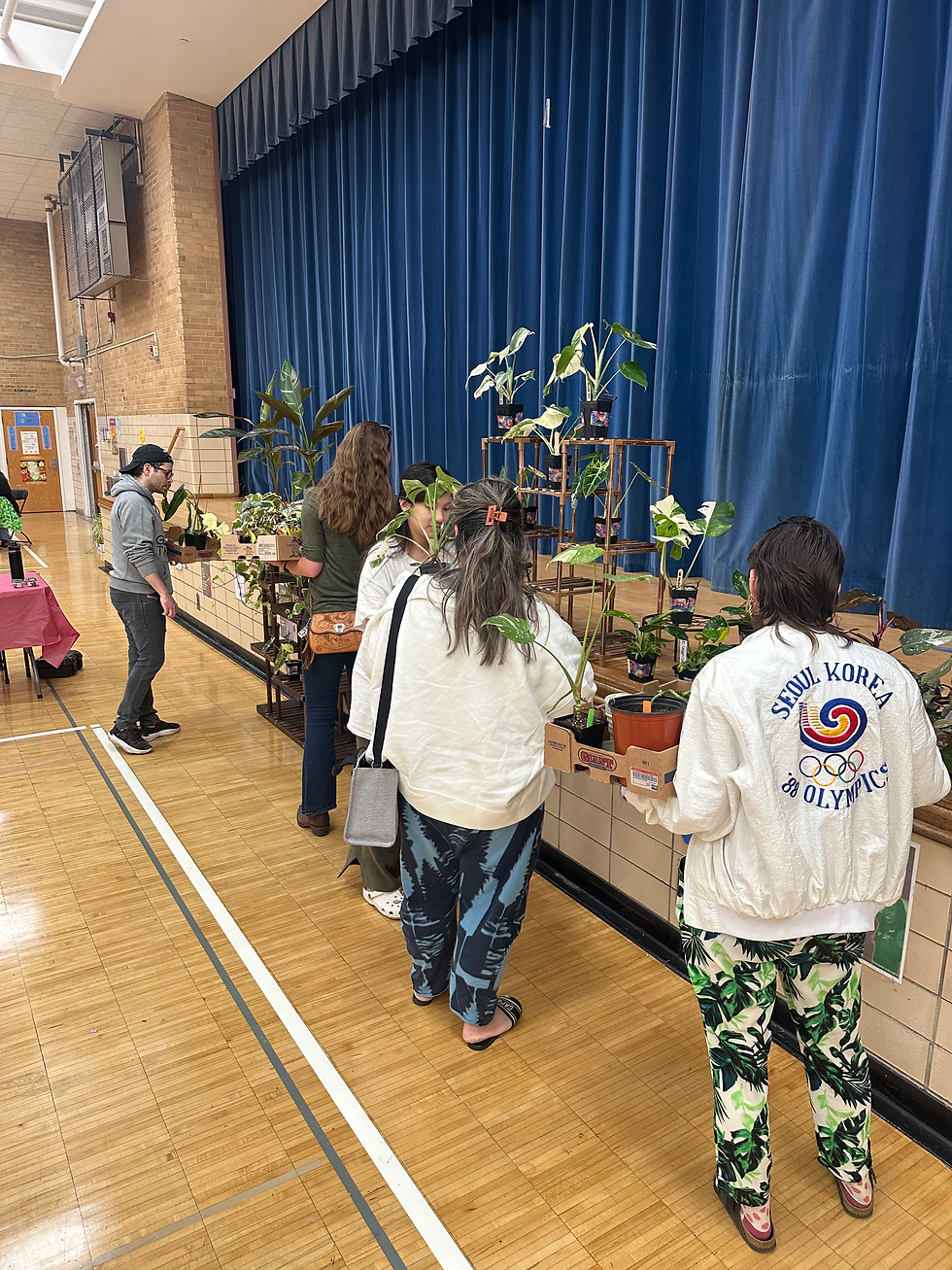 Plant Parents shopping rare plants