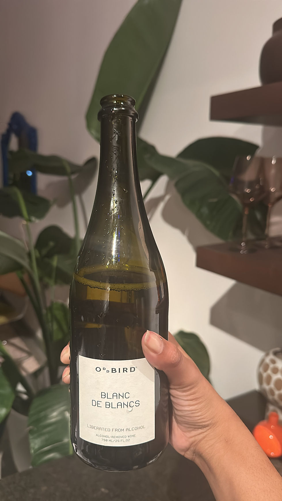 Shayla holding a bottle of Blanc de Blancs alcohol-removed wine.