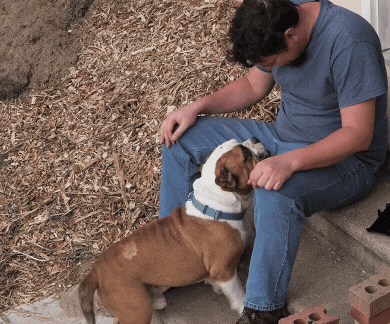 Untitled design(16).gif