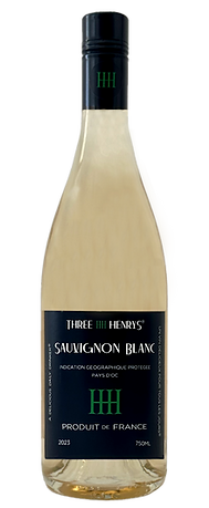 Sauvignon Blanc 2023 Bottle Shot (3).png