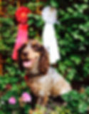 image3.jpeg