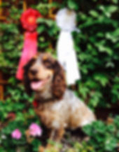 image3.jpeg