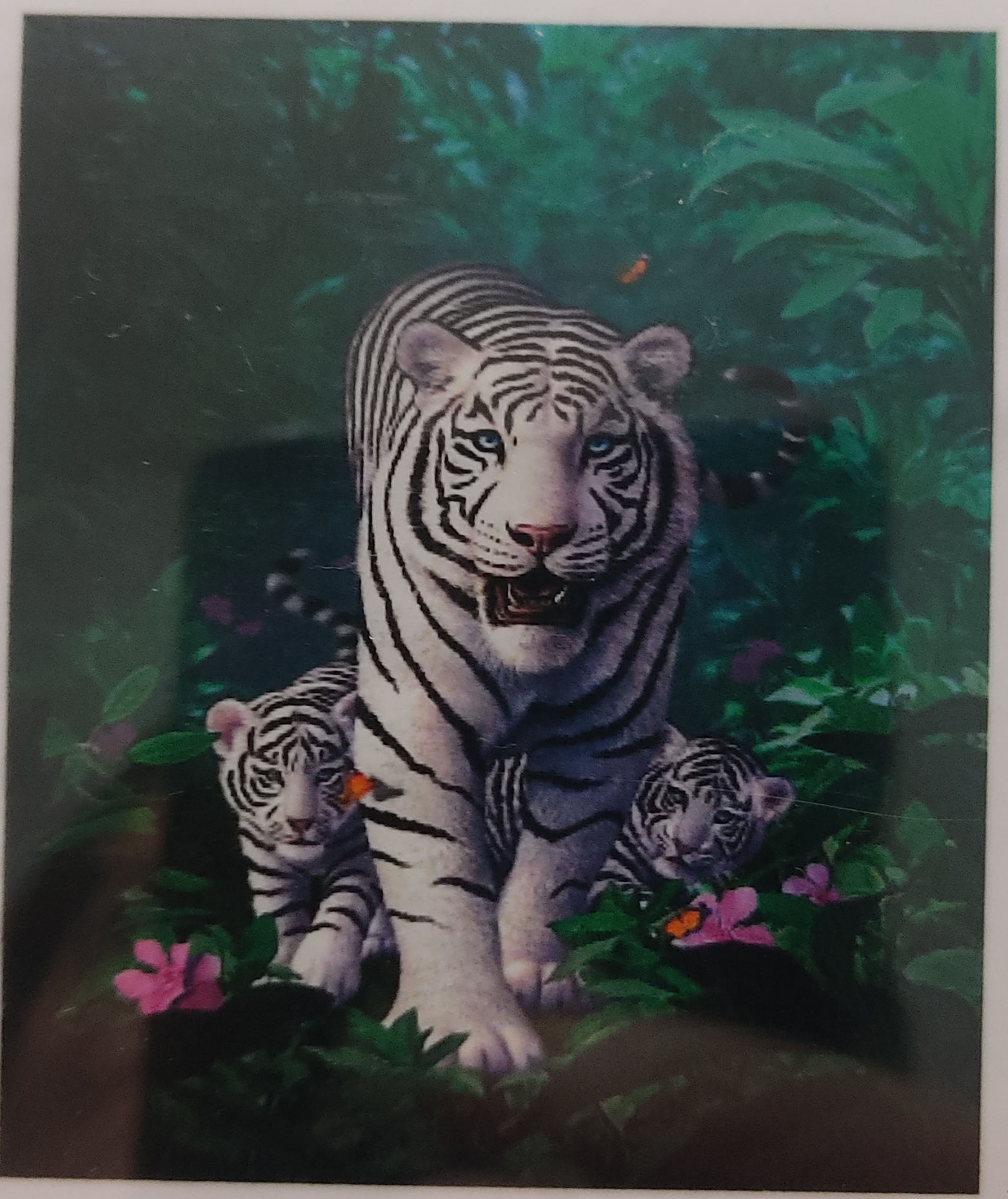 Kit diamond painting tigre blanc dans la foret 50x40cm