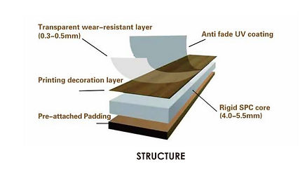 Structure.jpeg
