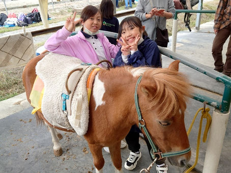ホースセラピーに参加しました！