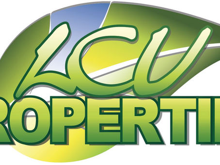 Experienced Professionals