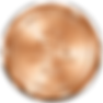 SFWSC Bronze (2).png