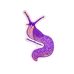 Untitled (58).png