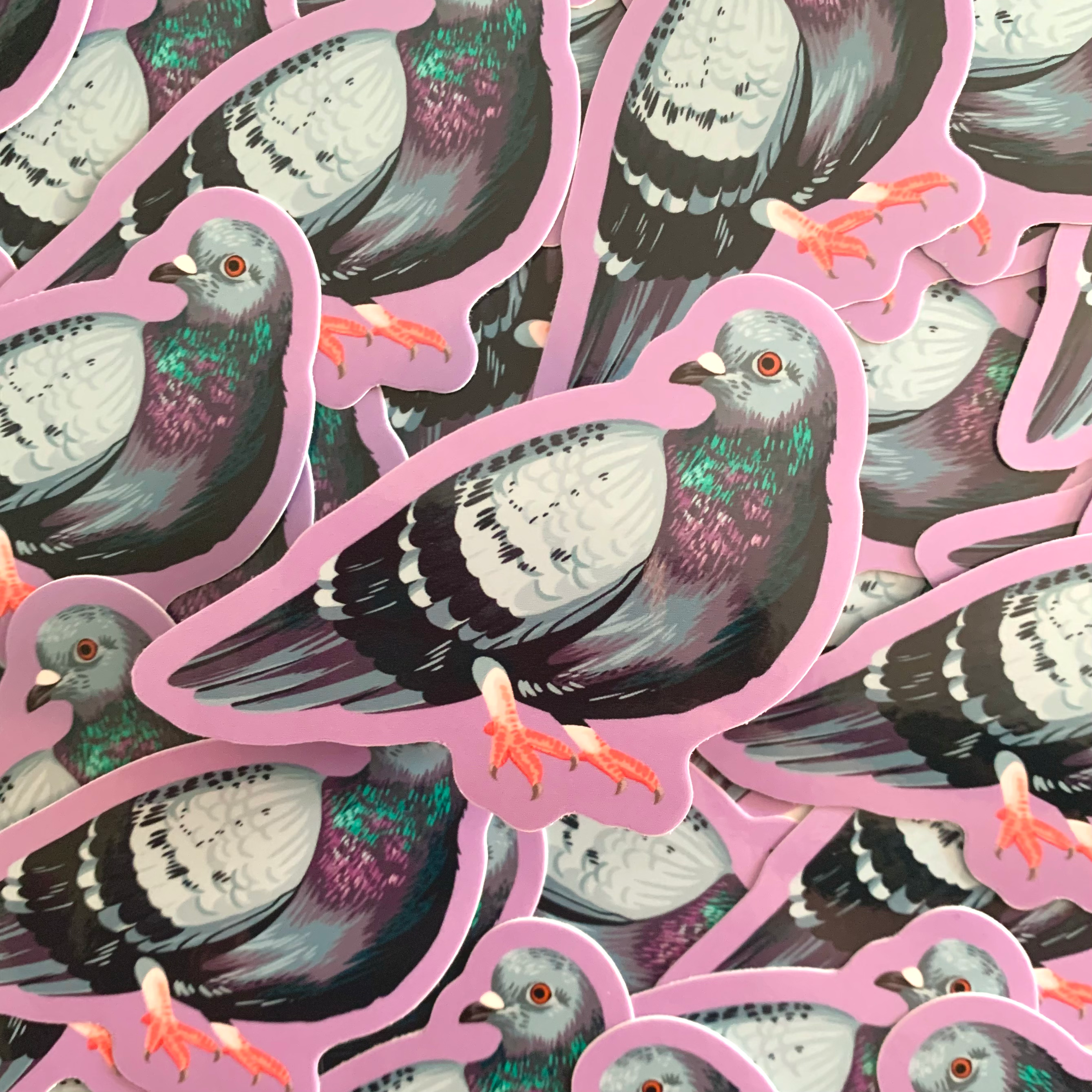 Pigeon Sticker