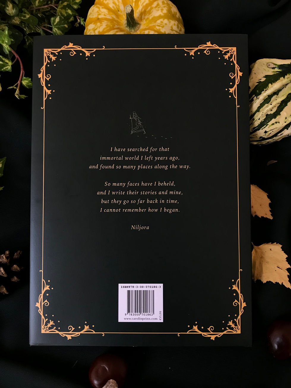 Thumbnail: The Spirit of Shadows Hardcover Book