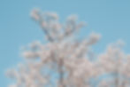 kendal-RLlwhlh0KpM-unsplash_edited.jpg