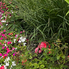 Garden Maintenance
