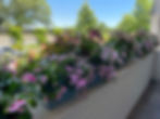 IMG_2263.jpeg