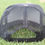 Thumbnail: DG Camo Snapback Original