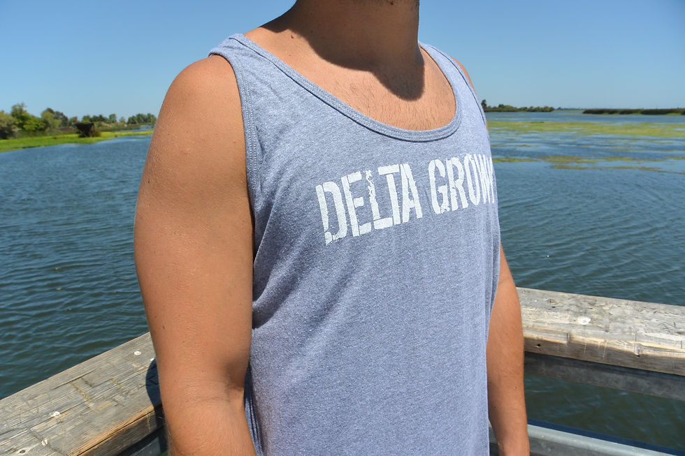 Thumbnail: Delta Grown Classic Tank in Grey