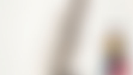 Paragrafferne klarer pedellen