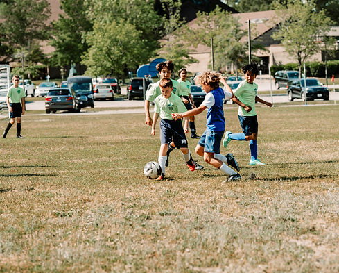 DSC09216_edited.jpg