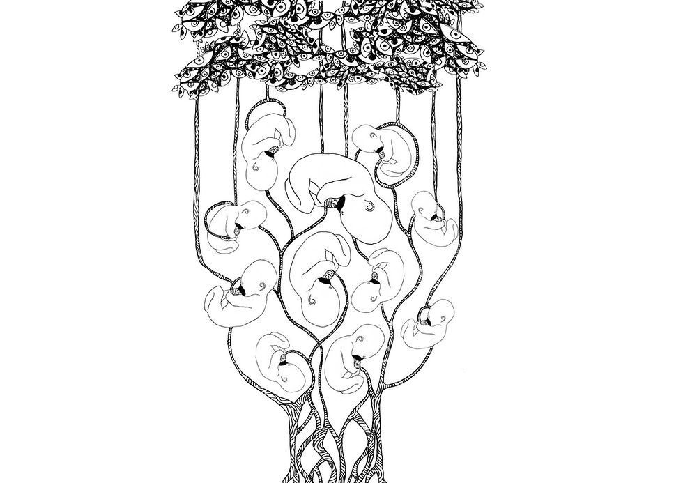 Illustration-Elnaz Haghi