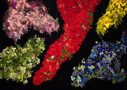 Aw19 website photosArtboard 5