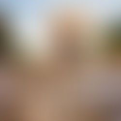 Rescue Rocky | Fort Worth Pet Photographer