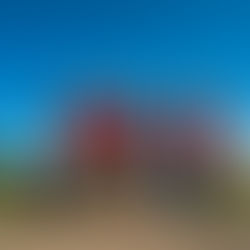 2021 Year in Review | Dallas Dog Photography by the Numbers