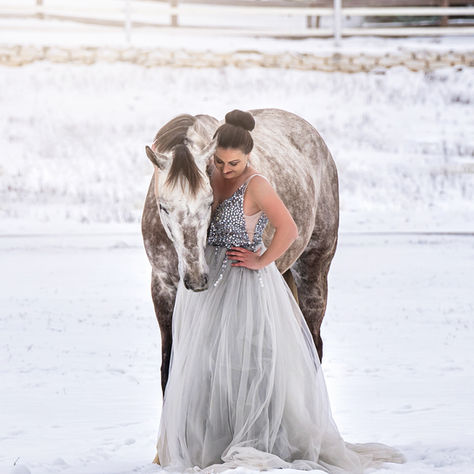 Carpe Freeze'm - Seize the Photo Opp! Snowy Dallas Equestrian Photos
