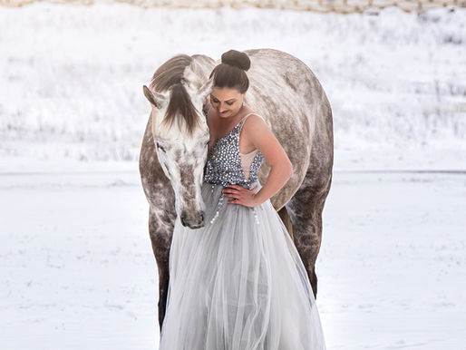 Carpe Freeze'm - Seize the Photo Opp! Snowy Dallas Equestrian Photos