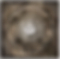 Circulum