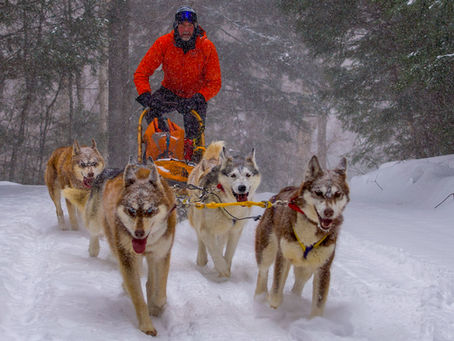 Dog Sledding in a Snowstorm!
