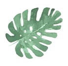 Tropical Leaves 5