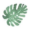 Tropical Leaves 5