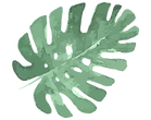 Tropical Leaves 5