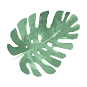 Les feuilles tropicales 5