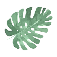 Tropical Leaves 5
