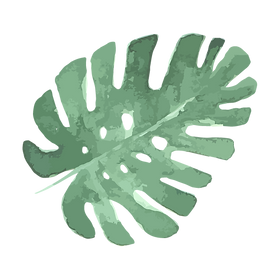 Tropical Leaves 5