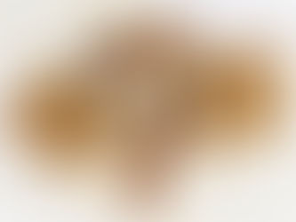 Peanut Butter Chocolate Oat Bars