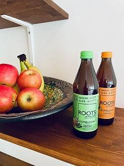 roots of malmö kombucha.jpg