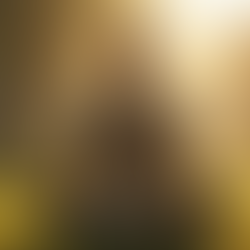 Shift Your Energy with Quantum Energy Healing Sessions