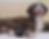 NINI_edited.png