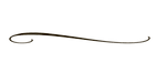 7-2-decorative-line-black-png_edited.png