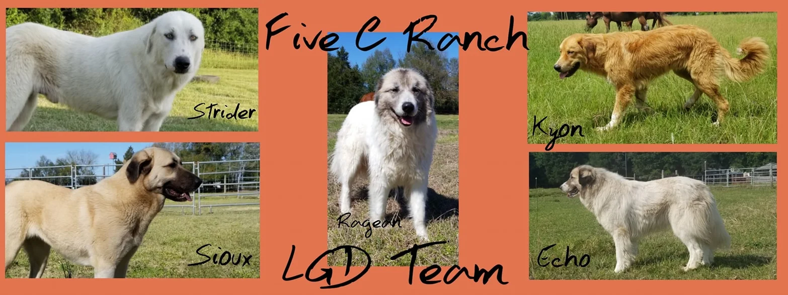 breeding half sibling dogs