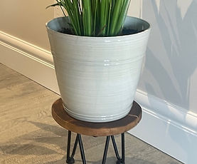 Plant Stands - gorgeous and sturdy !