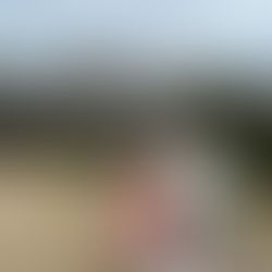 W ucieczce od rzeczywistości 