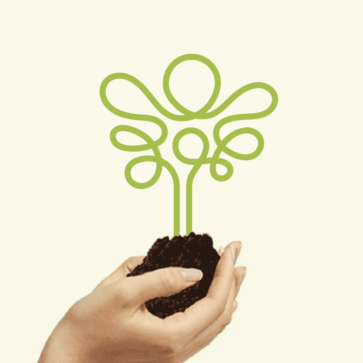 ncl-logo-tree-in-hands-1.gif